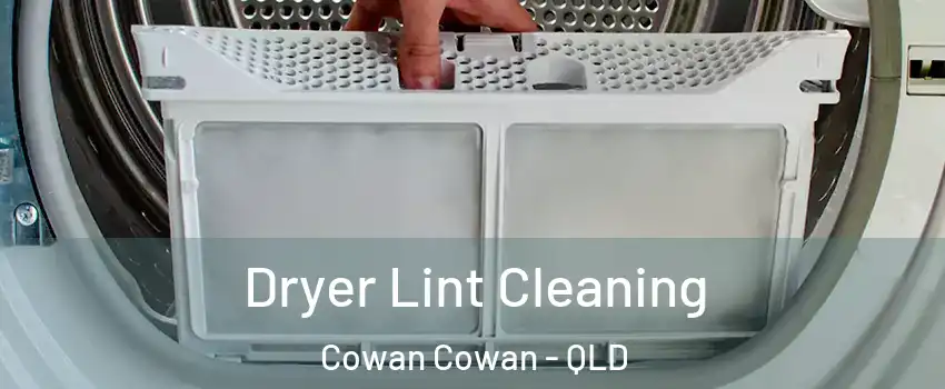 Dryer Lint Cleaning Cowan Cowan - QLD