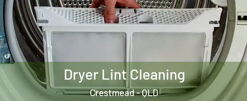 Dryer Lint Cleaning Crestmead - QLD
