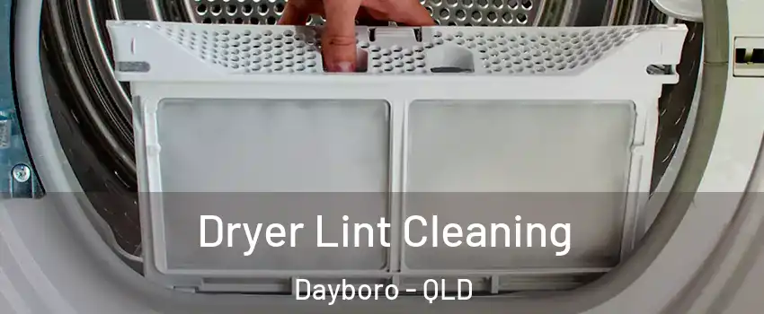 Dryer Lint Cleaning Dayboro - QLD