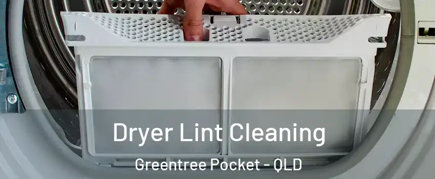 Dryer Lint Cleaning Greentree Pocket - QLD