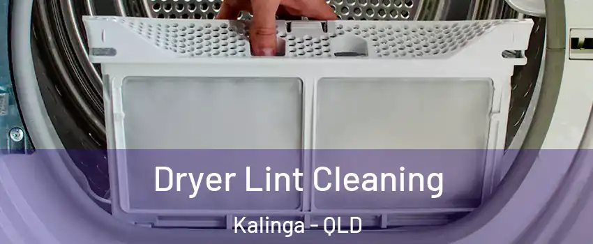 Dryer Lint Cleaning Kalinga - QLD