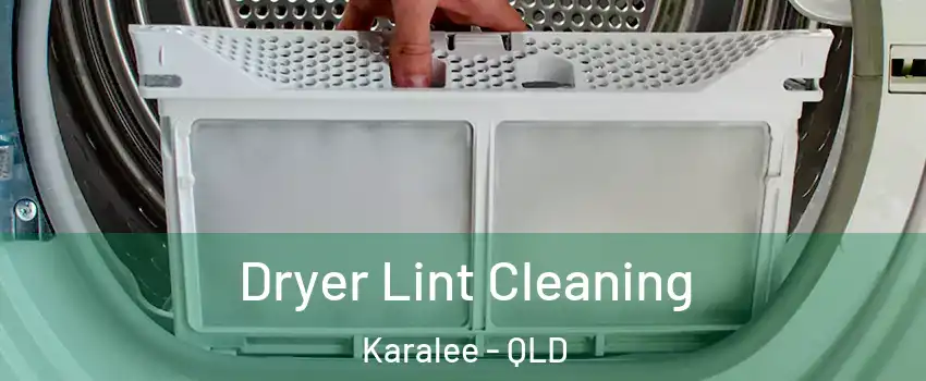 Dryer Lint Cleaning Karalee - QLD