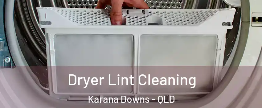 Dryer Lint Cleaning Karana Downs - QLD