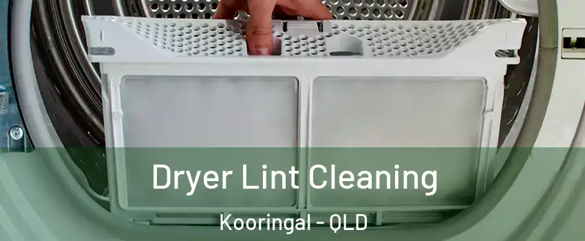 Dryer Lint Cleaning Kooringal - QLD