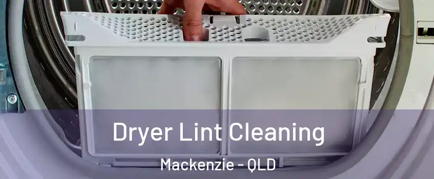 Dryer Lint Cleaning Mackenzie - QLD