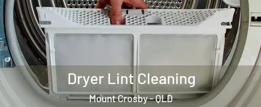 Dryer Lint Cleaning Mount Crosby - QLD