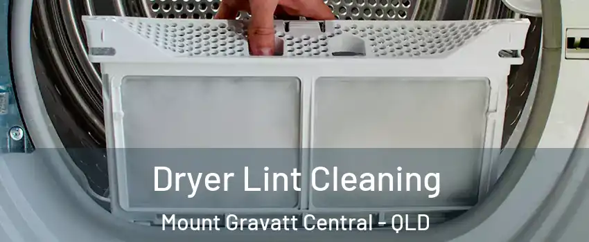 Dryer Lint Cleaning Mount Gravatt Central - QLD