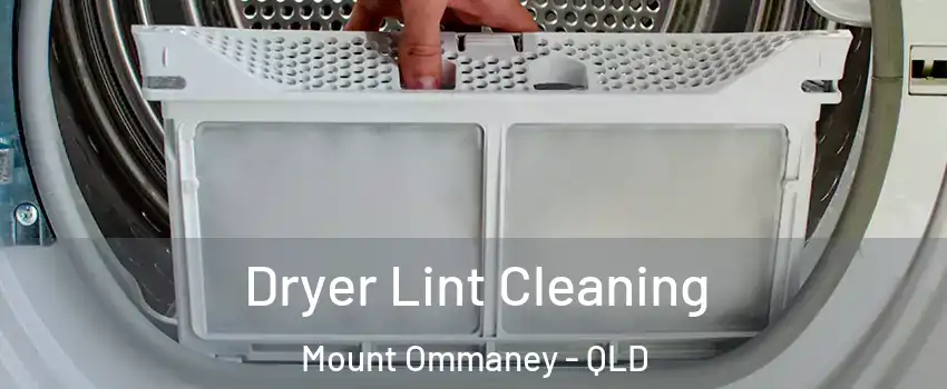 Dryer Lint Cleaning Mount Ommaney - QLD