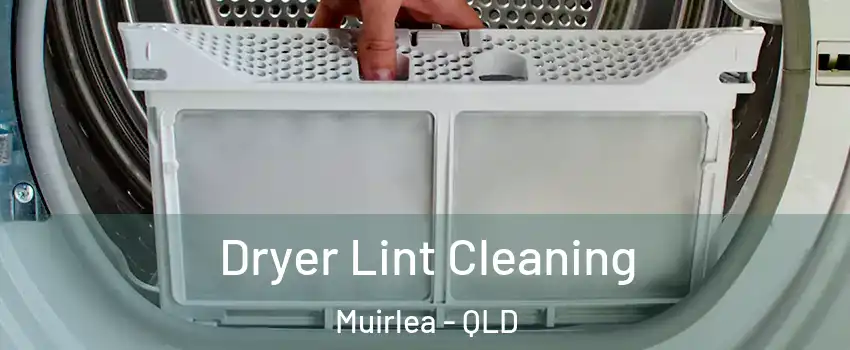 Dryer Lint Cleaning Muirlea - QLD
