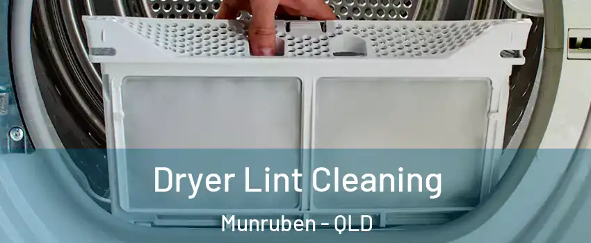 Dryer Lint Cleaning Munruben - QLD