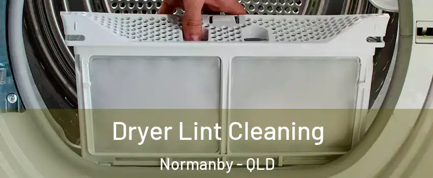 Dryer Lint Cleaning Normanby - QLD