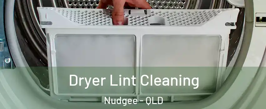 Dryer Lint Cleaning Nudgee - QLD