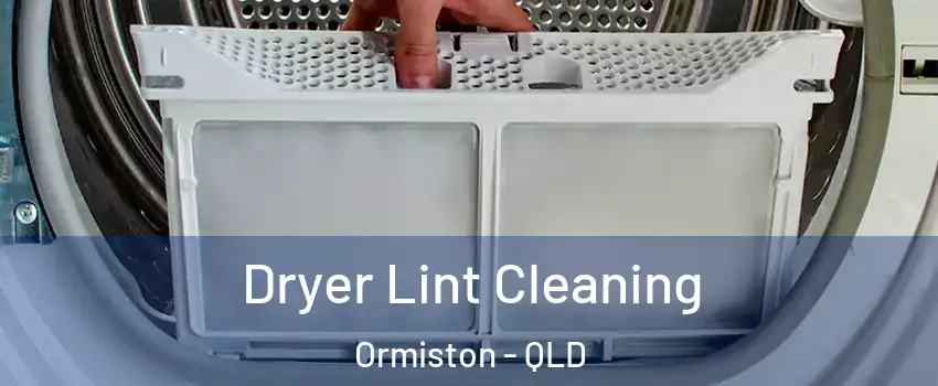 Dryer Lint Cleaning Ormiston - QLD