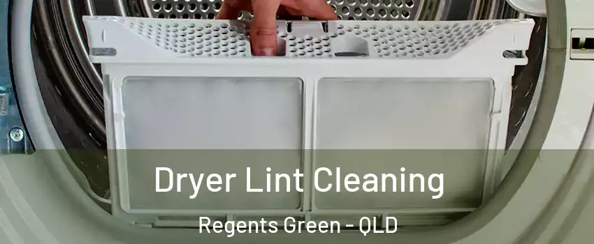 Dryer Lint Cleaning Regents Green - QLD