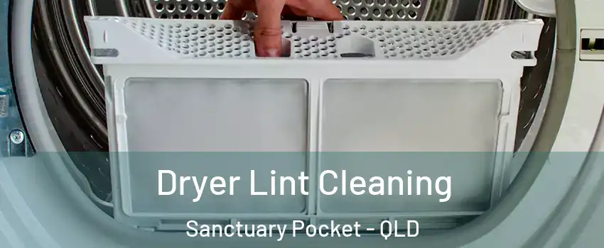 Dryer Lint Cleaning Sanctuary Pocket - QLD