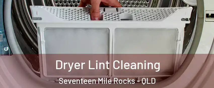 Dryer Lint Cleaning Seventeen Mile Rocks - QLD