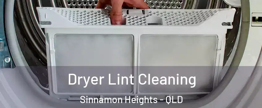 Dryer Lint Cleaning Sinnamon Heights - QLD