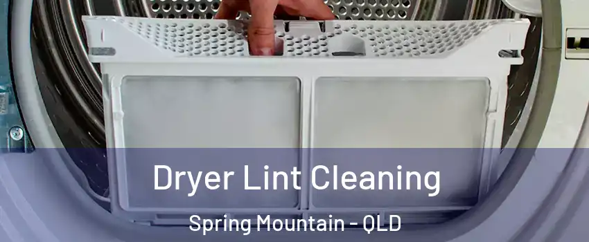 Dryer Lint Cleaning Spring Mountain - QLD