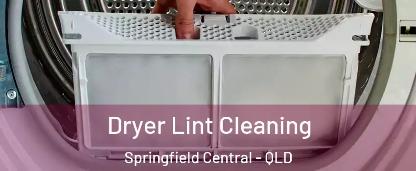 Dryer Lint Cleaning Springfield Central - QLD
