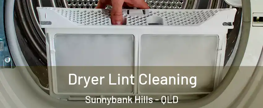 Dryer Lint Cleaning Sunnybank Hills - QLD