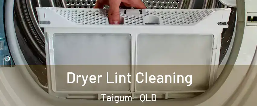 Dryer Lint Cleaning Taigum - QLD