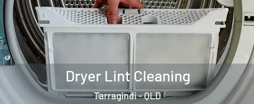 Dryer Lint Cleaning Tarragindi - QLD