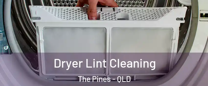  Dryer Lint Cleaning The Pines - QLD