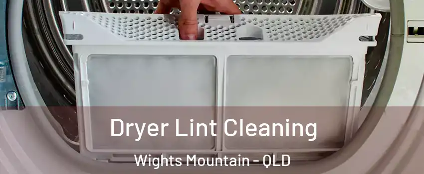 Dryer Lint Cleaning Wights Mountain - QLD