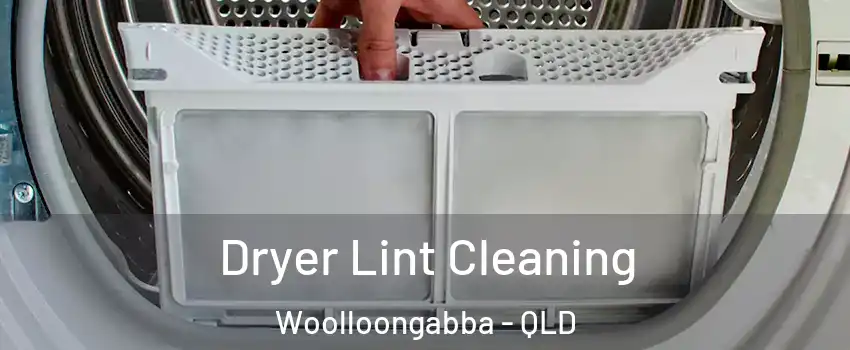 Dryer Lint Cleaning Woolloongabba - QLD