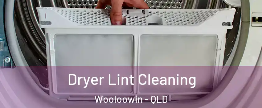 Dryer Lint Cleaning Wooloowin - QLD