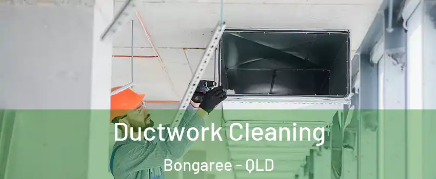 Ductwork Cleaning Bongaree - QLD