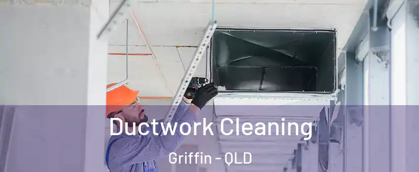 Ductwork Cleaning Griffin - QLD