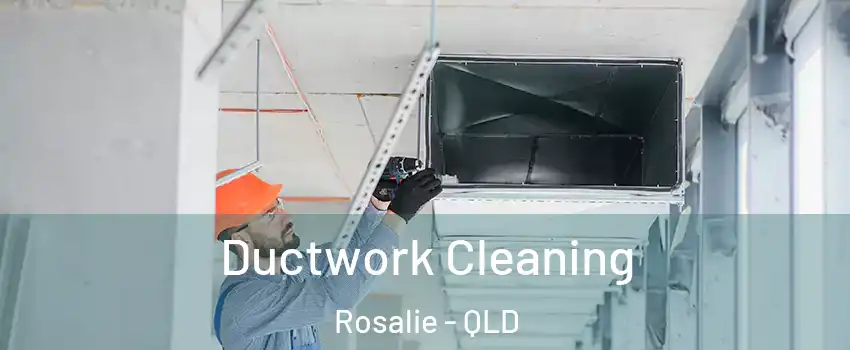 Ductwork Cleaning Rosalie - QLD