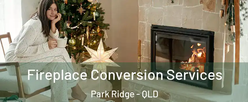 Fireplace Conversion Services Park Ridge - QLD