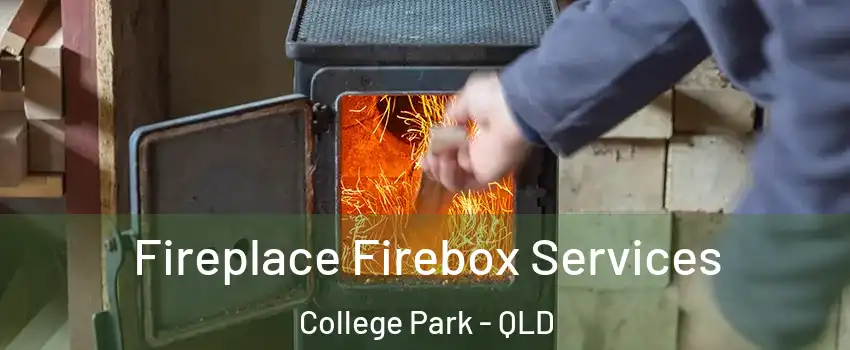 Fireplace Firebox Services College Park - QLD