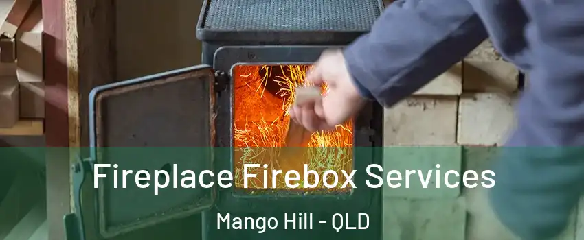 Fireplace Firebox Services Mango Hill - QLD