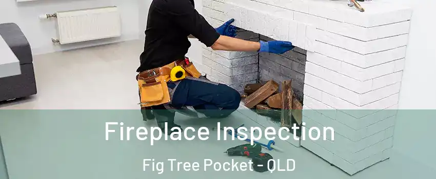 Fireplace Inspection Fig Tree Pocket - QLD
