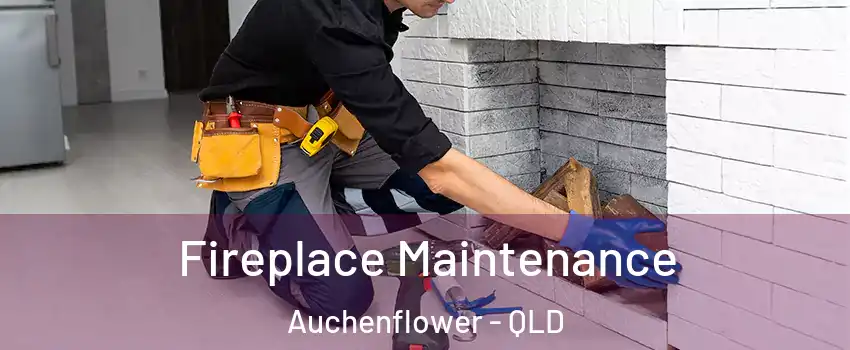 Fireplace Maintenance Auchenflower - QLD