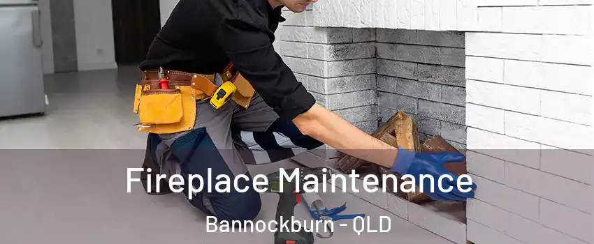 Fireplace Maintenance Bannockburn - QLD