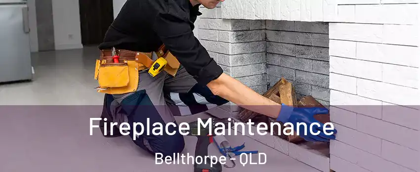 Fireplace Maintenance Bellthorpe - QLD