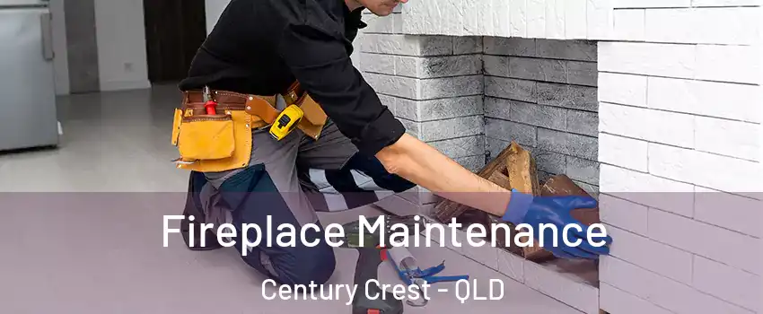 Fireplace Maintenance Century Crest - QLD