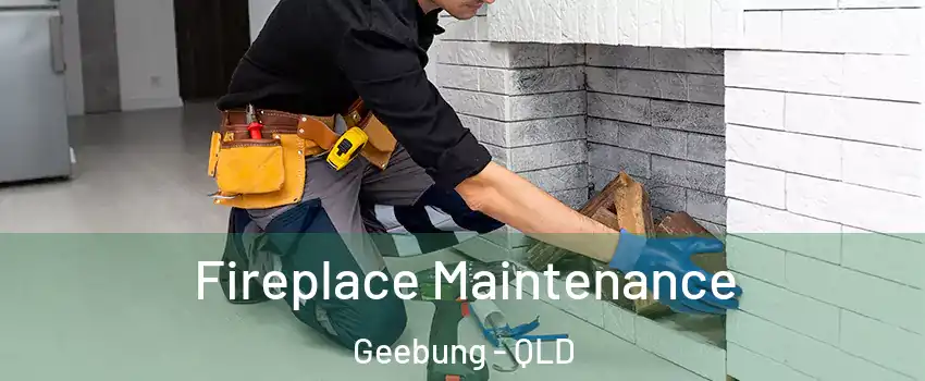  Fireplace Maintenance Geebung - QLD
