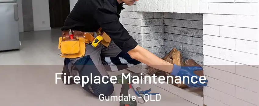 Fireplace Maintenance Gumdale - QLD