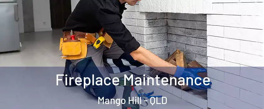 Fireplace Maintenance Mango Hill - QLD
