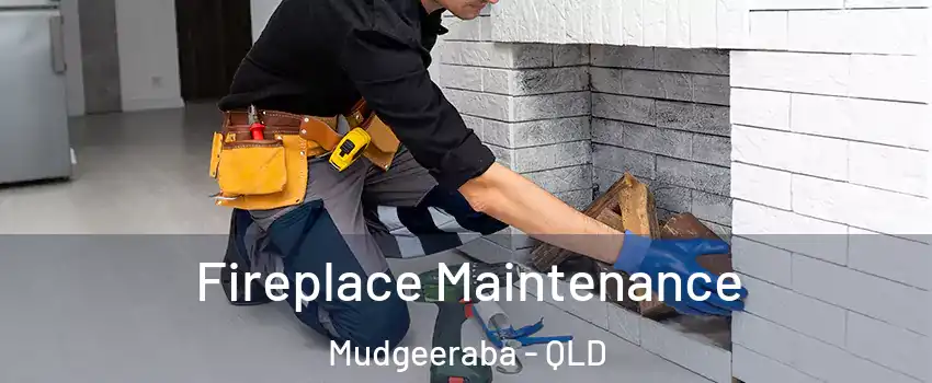 Fireplace Maintenance Mudgeeraba - QLD