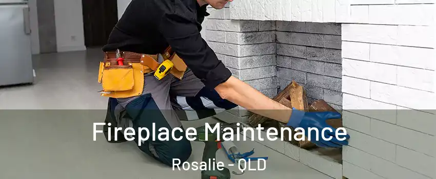 Fireplace Maintenance Rosalie - QLD
