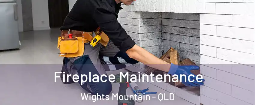 Fireplace Maintenance Wights Mountain - QLD