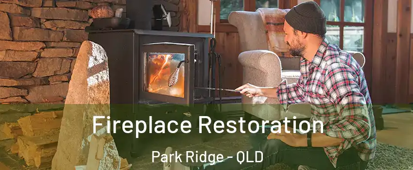 Fireplace Restoration Park Ridge - QLD