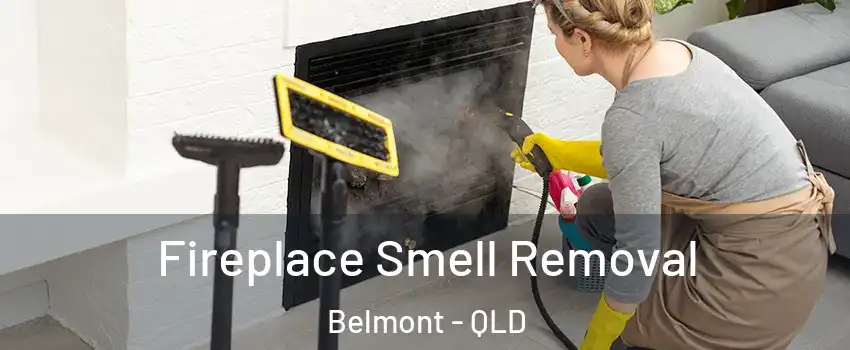 Fireplace Smell Removal Belmont - QLD
