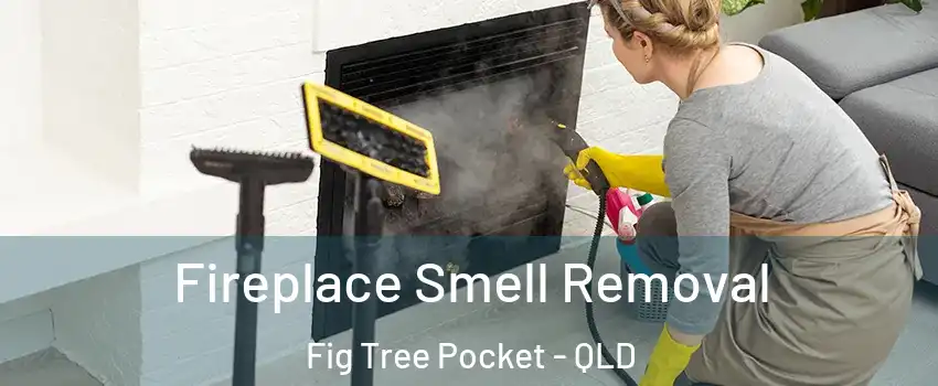 Fireplace Smell Removal Fig Tree Pocket - QLD